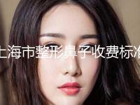 上海市整形鼻子收费标准展示_热门项目一览(整形鼻子均价为：29784元)