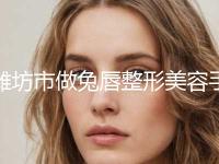 潍坊市做兔唇整形美容手术费用(8月-3月做兔唇整形均价为：99109元)