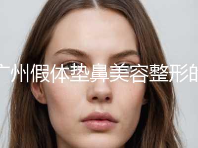 广州假体垫鼻美容整形的价钱-广州假体垫鼻价格会很贵吗